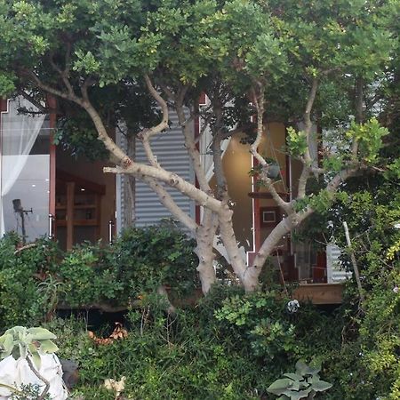 Quirky Eco-Friendly Artist Studio Le Cap Extérieur photo